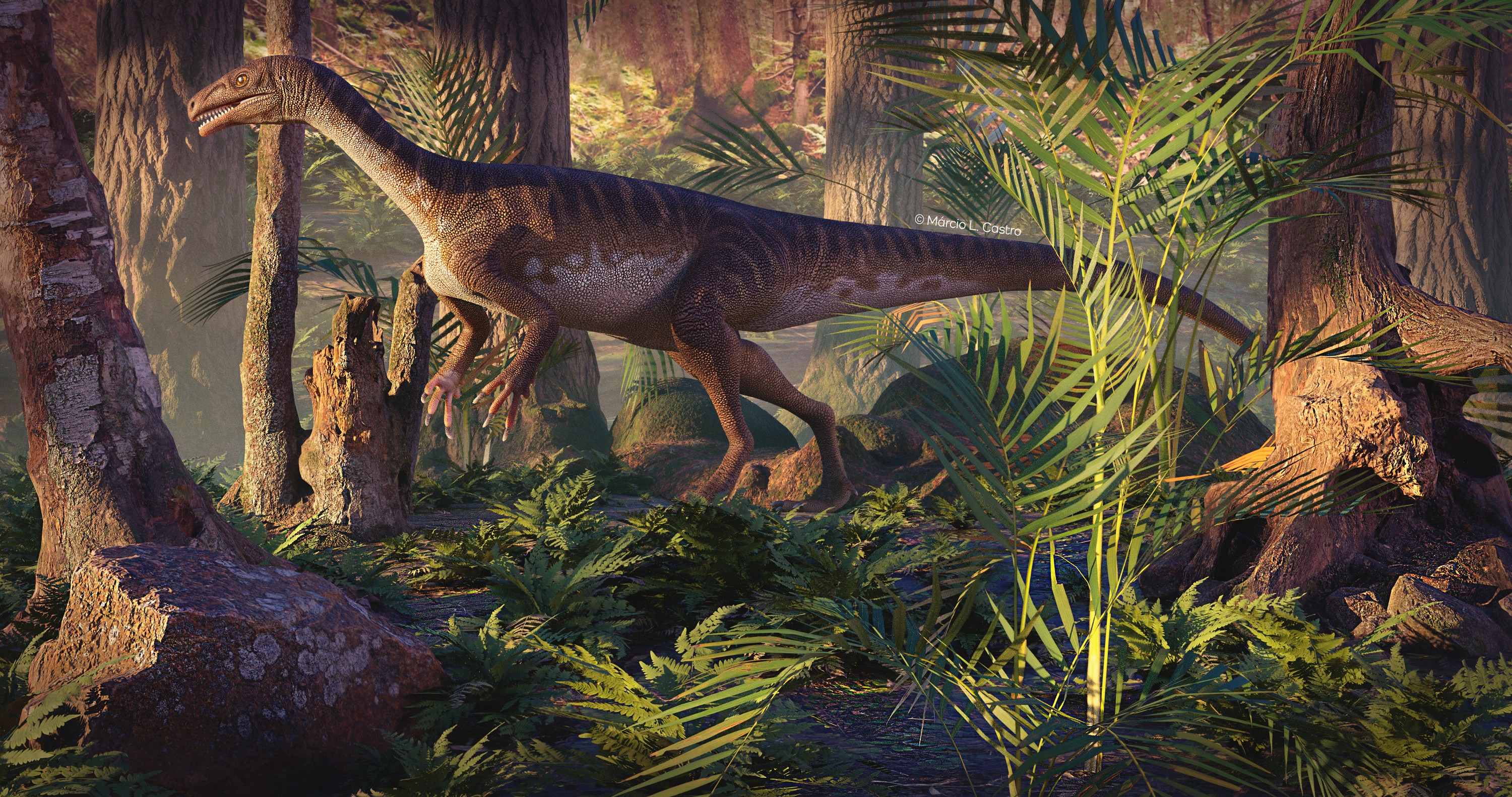 Ilustração do dinossauro de 2,2 metros de comprimento descoberto em Agudo (RS) (Foto: Márcio L. Castro)