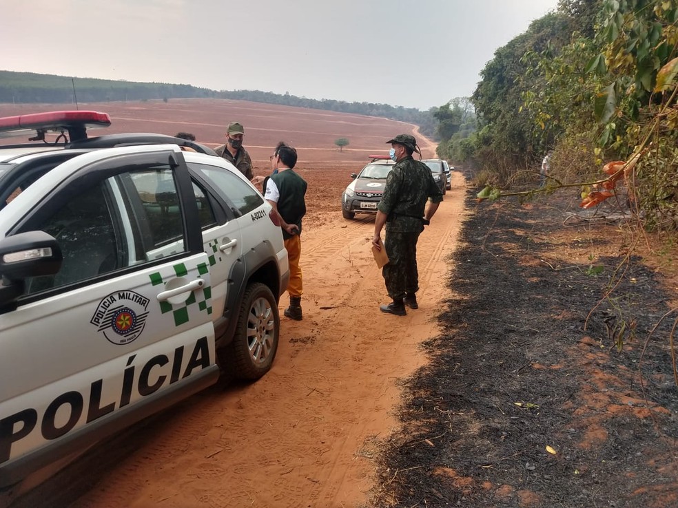 Área atingida foi vistoriada na sexta-feira após as chamas serem controladas em Bauru  — Foto: Polícia Ambiental/ Divulgação 