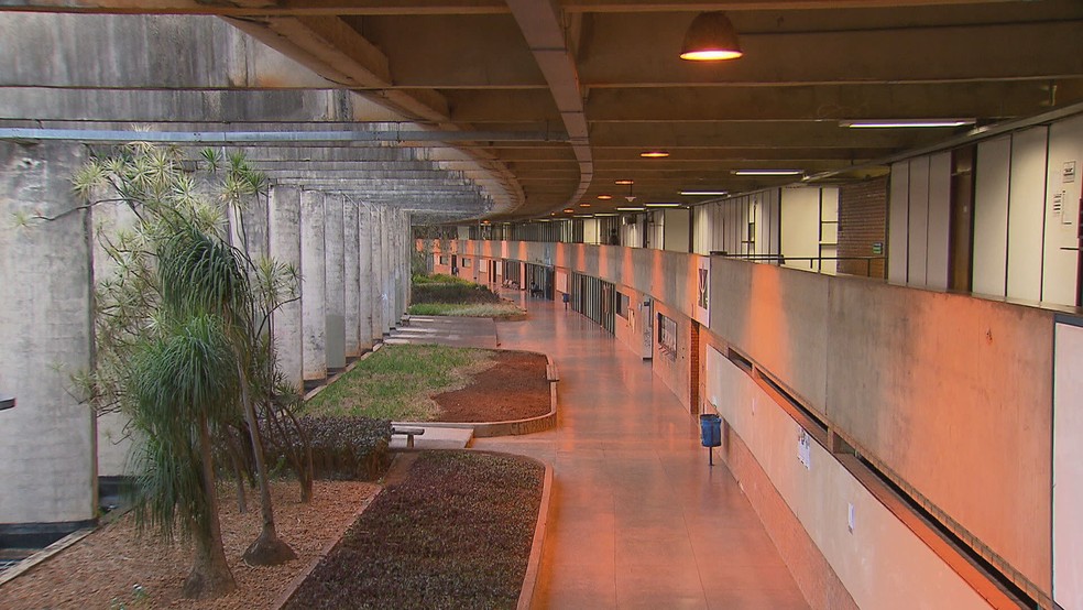 Universidade de Brasília (UnB), em imagem de arquivo  — Foto: TV Globo/Reprodução 