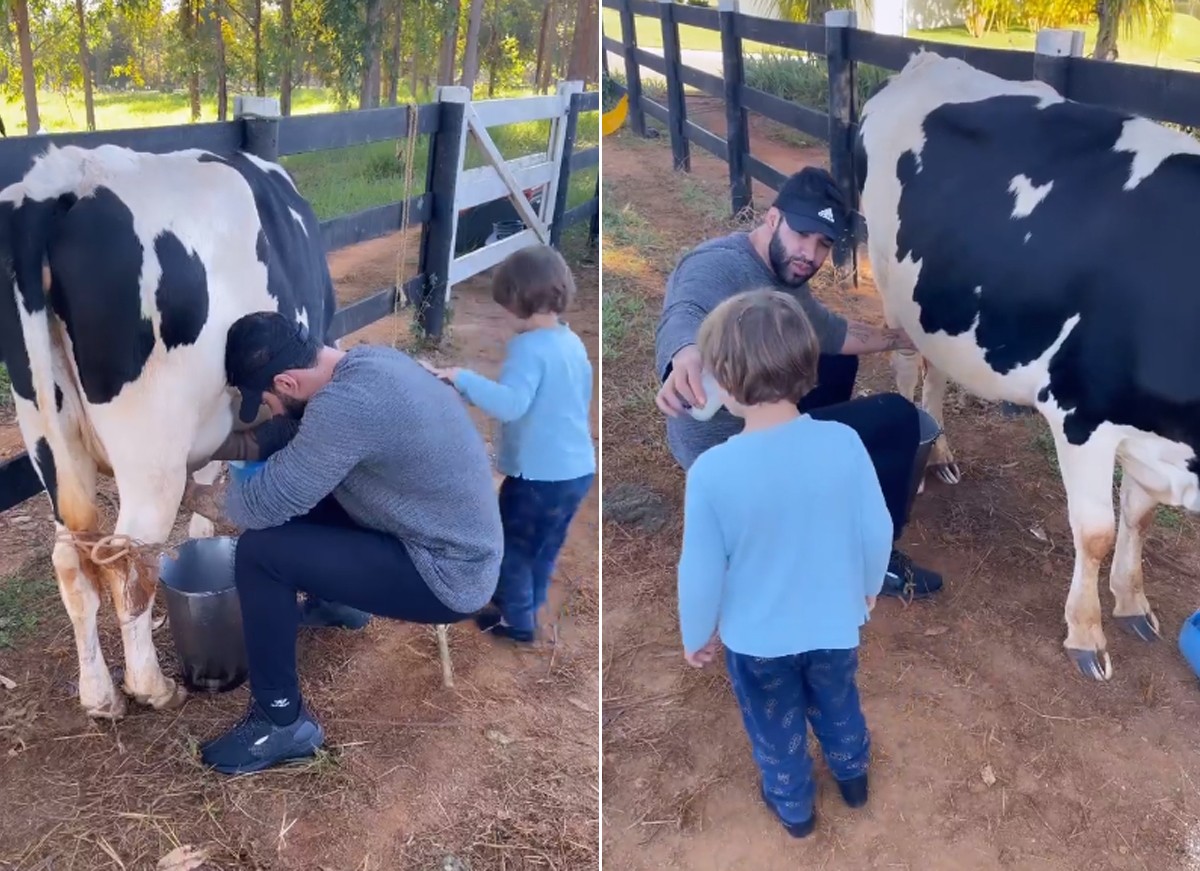 Gusttavo Lima ordenha vaca e dá leite para o filho experimentar