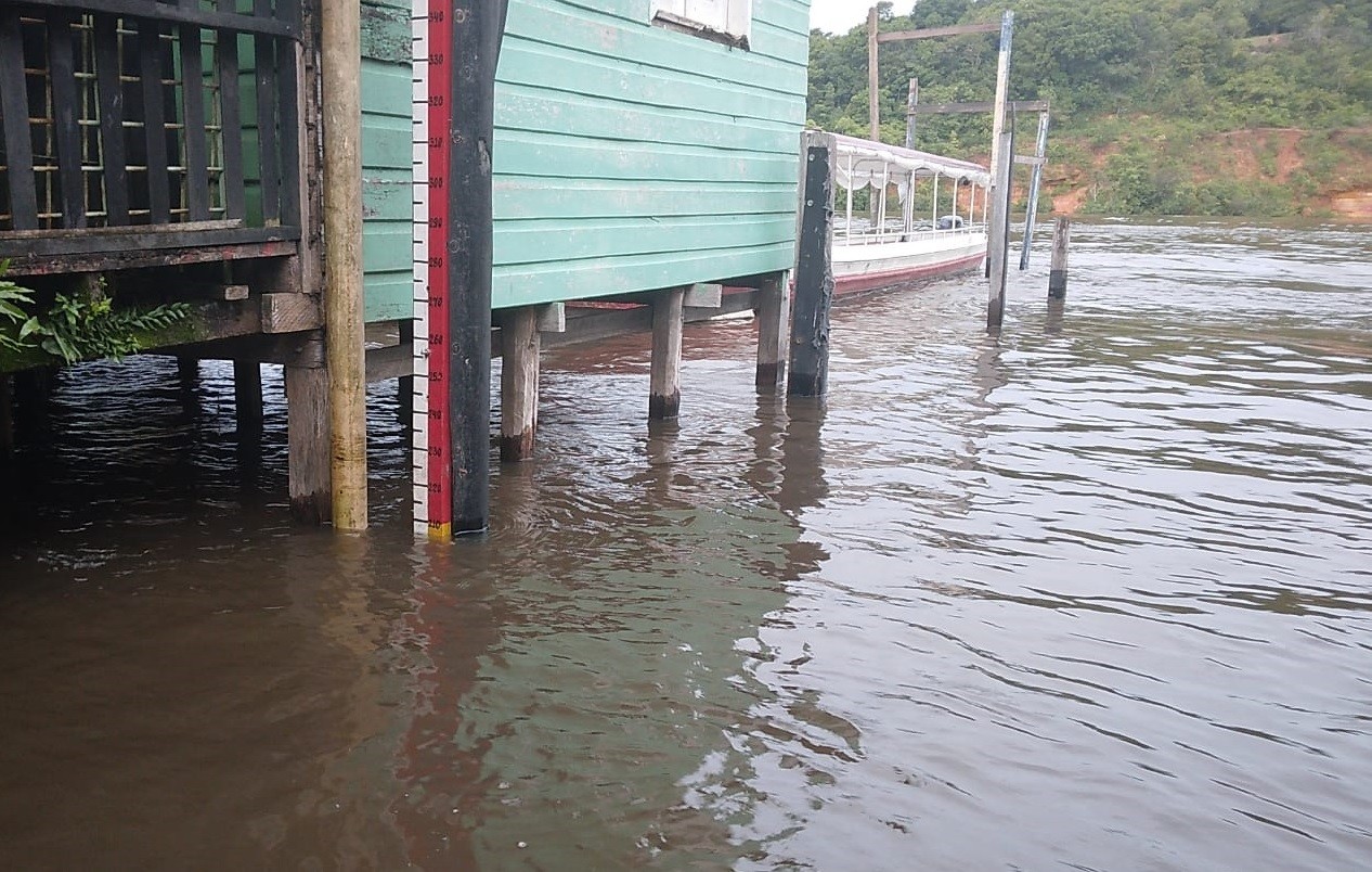 Rio Jari volta a subir, fica próximo ao nível de emergência e Defesa Civil monitora bairros