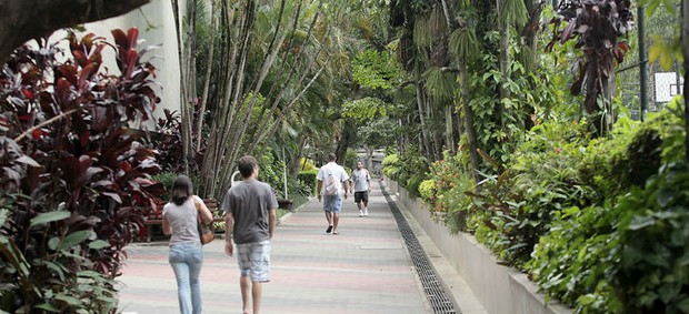 EXCLUSIVO: São Paulo calcula que mais da metade dos sócios não torce pelo Tricolor