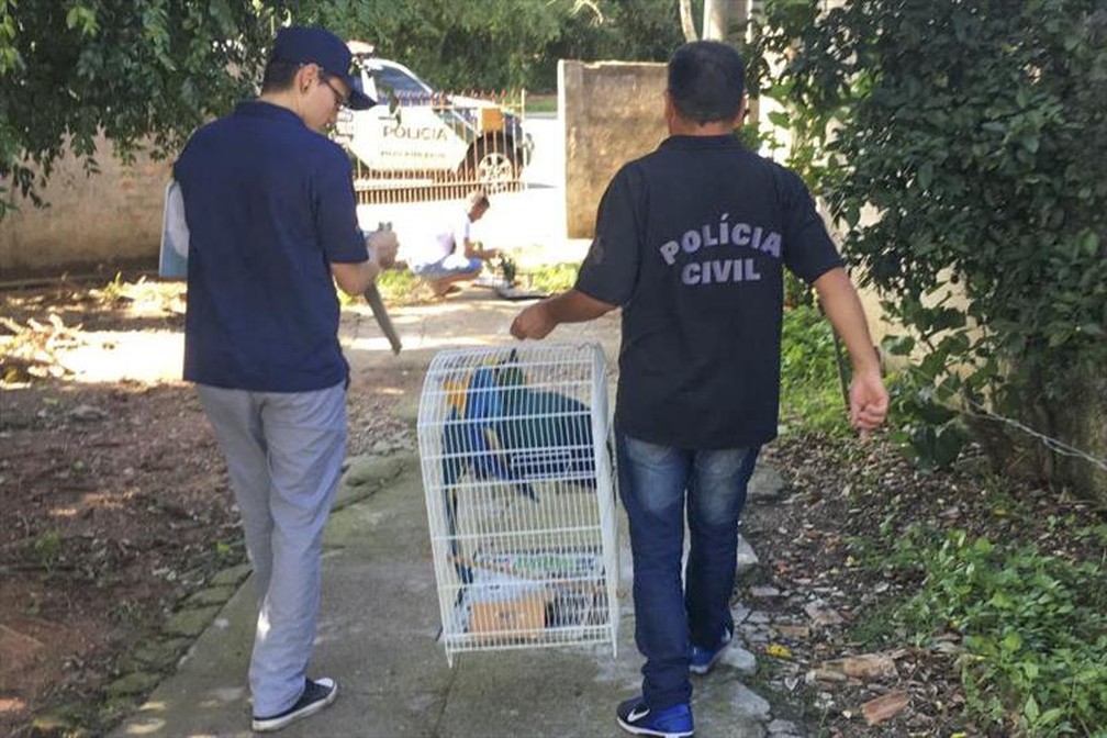 Aves também foram apreendidas — Foto: Divulgação/Prefeitura de Curitiba