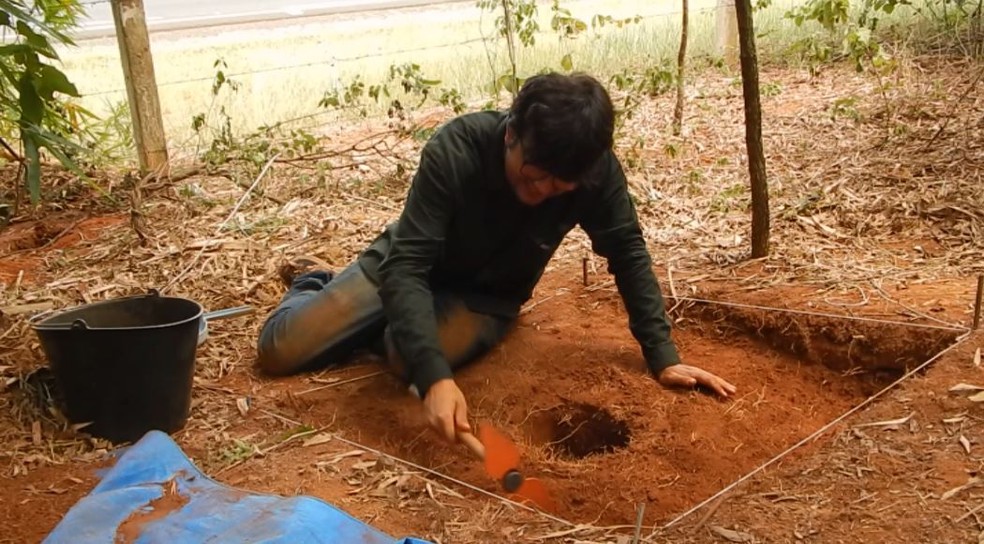 Pesquisador comprova passagem de nômades pela região de Araraquara há 10 mil anos