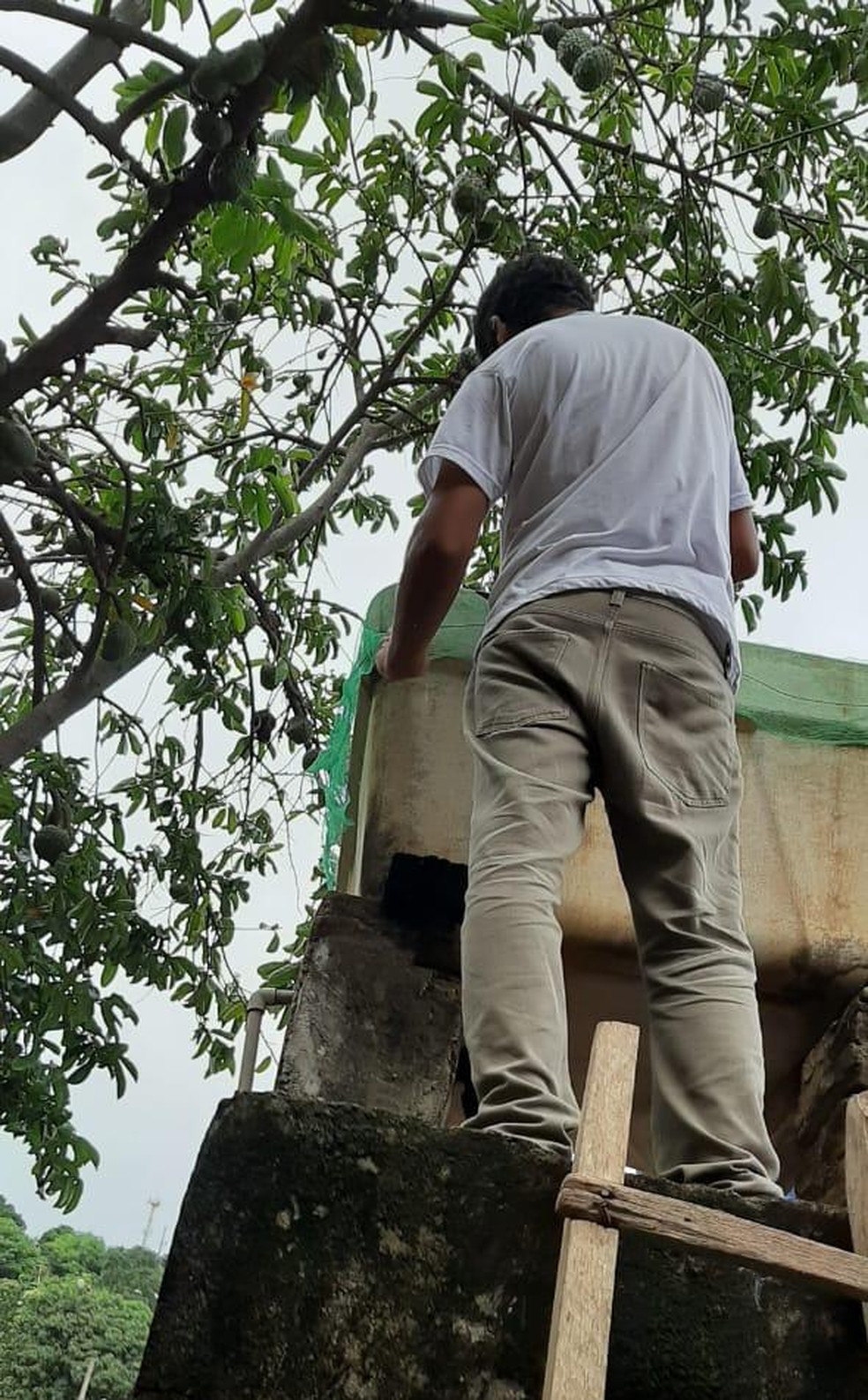 Prefeitura adquiriu telas para tampar os reservatórios — Foto: Prefeitura/ Divulgação