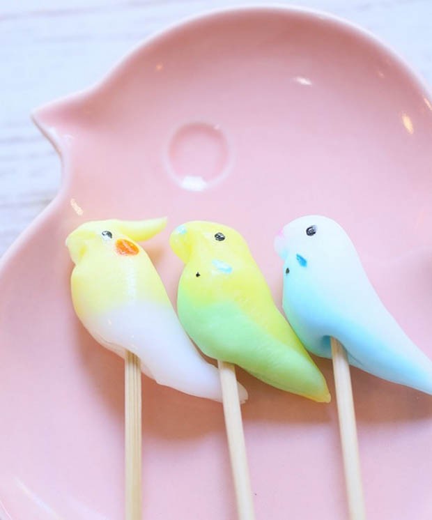 Bird café atrai fãs de aves em Tóquio (Foto: Divulgação)