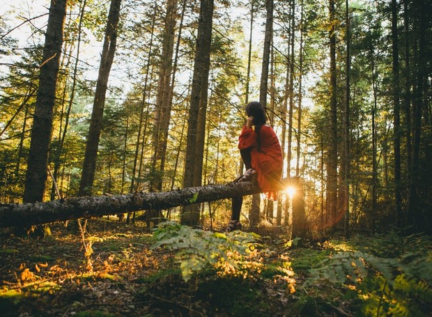 Diversas atividades realizadas na natureza podem ajudar na conexão com a floresta (Foto: Unsplash / Esther Tuttle / CreativeCommons)
