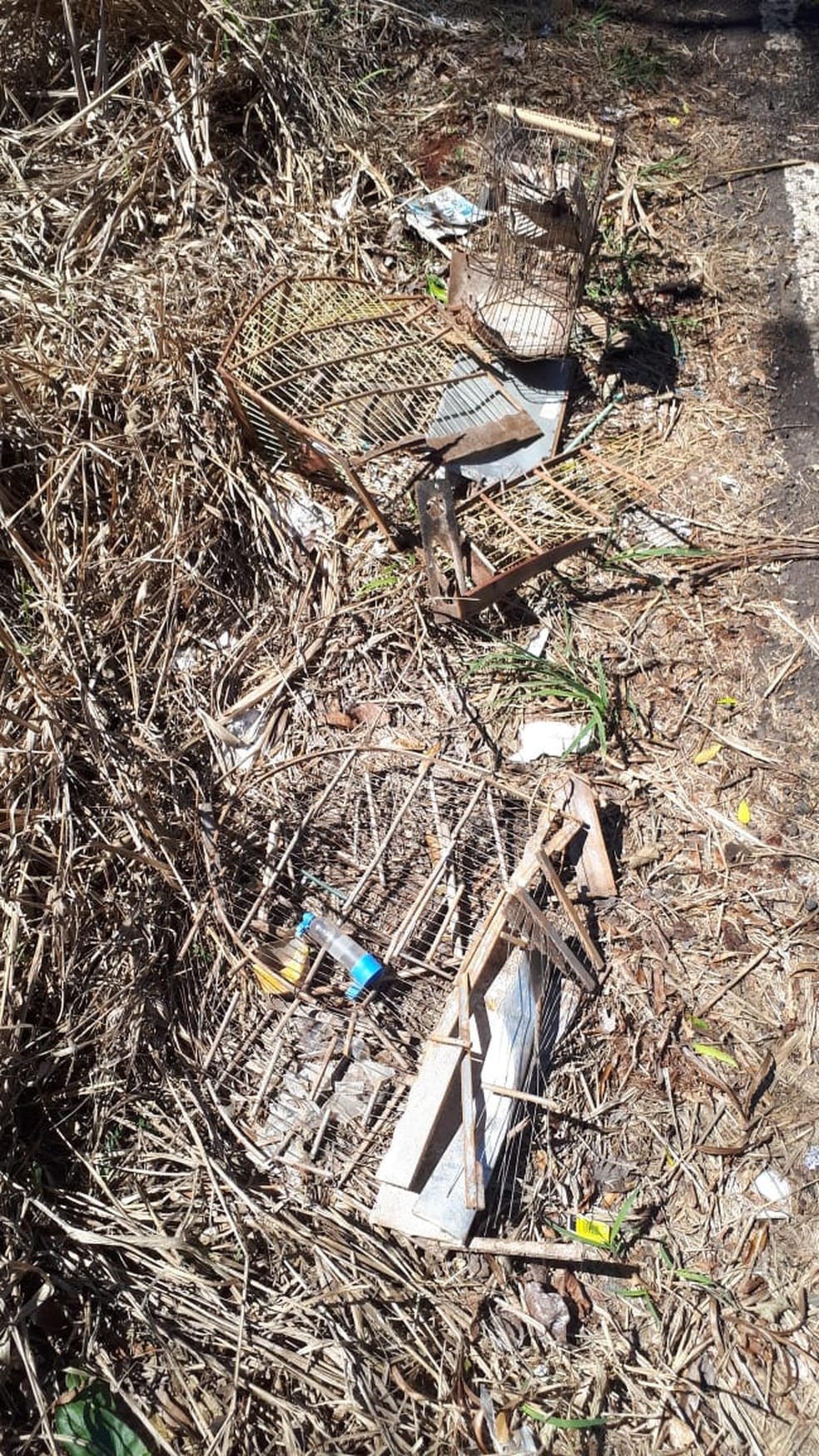 Gaiolas foram destruídas após libertação das aves  — Foto: Polícia Ambiental 