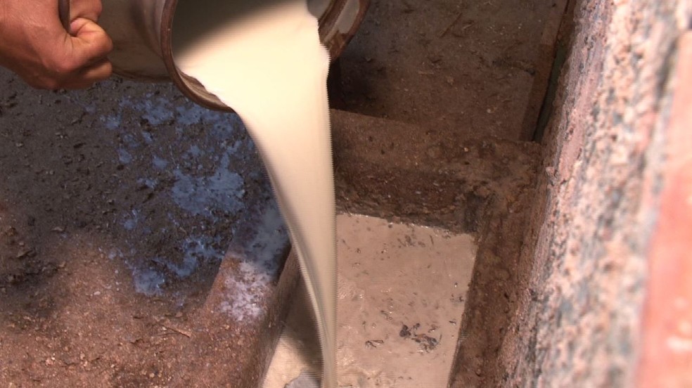 Produtores rurais perdem mil litros de leite em apagão causado por chuvas, em distrito de Paranavaí — Foto: Reprodução/RPC