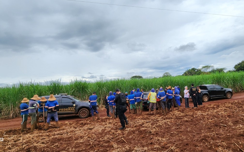 Imagem de trabalhadores resgatados em trabalho análogo à escravidão, em Goiás, em uma lavoura de cana-de-açúcar - 17/03/2023. — Foto: Reprodução/TV Anhanguera