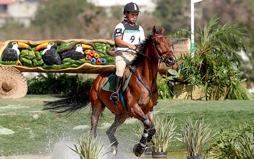 SALTAR SOBRE OBSTÁCULOS COM CAVALO - guia do esporte / hipismo