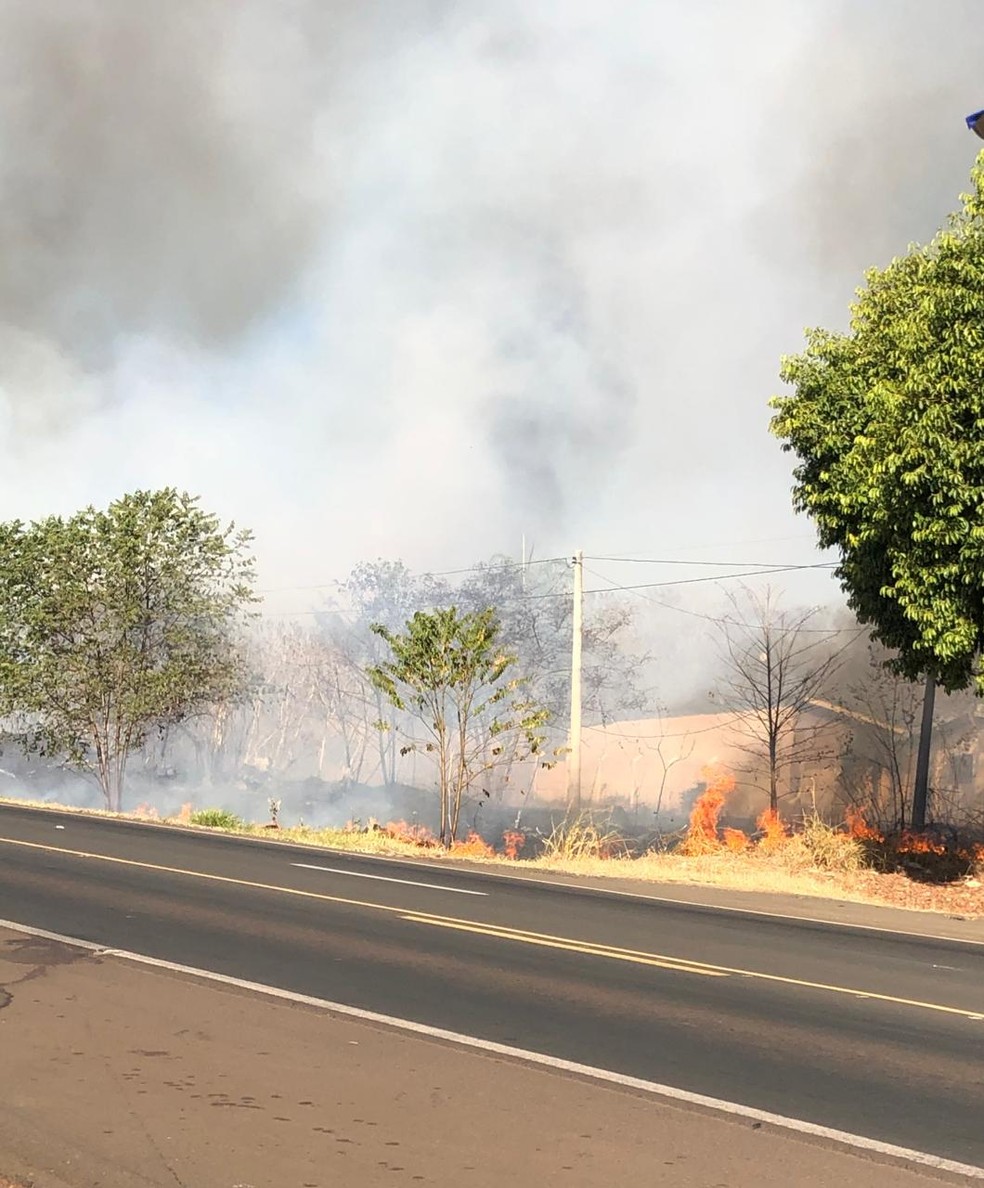 Queimada às margens da rodovia Assis Chateaubriand em Olímpia (SP) — Foto: Gridânia Brait/TV TEM