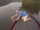 Pescadores resgatam dois gatinhos em rio nos EUA