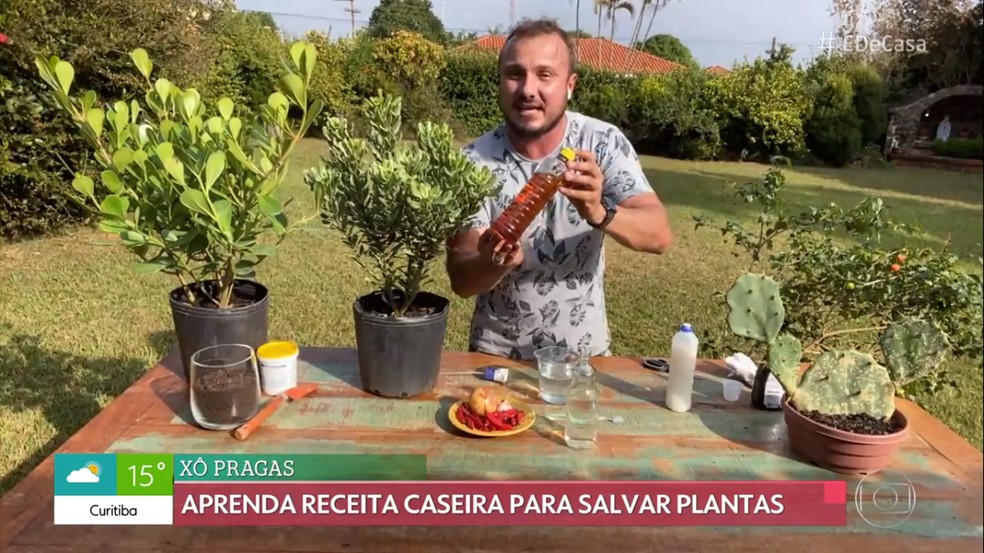 Murilo Soares ensina receita caseira para se livrar das pragas — Foto: TV Globo