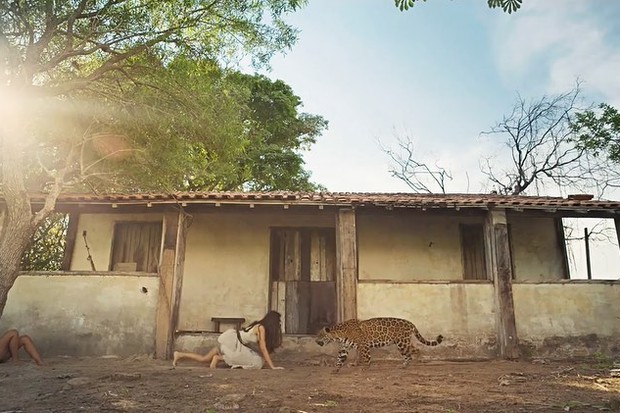Juma fica frente a frente com onça em Pantanal (Foto: Reprodução/Globoplay)