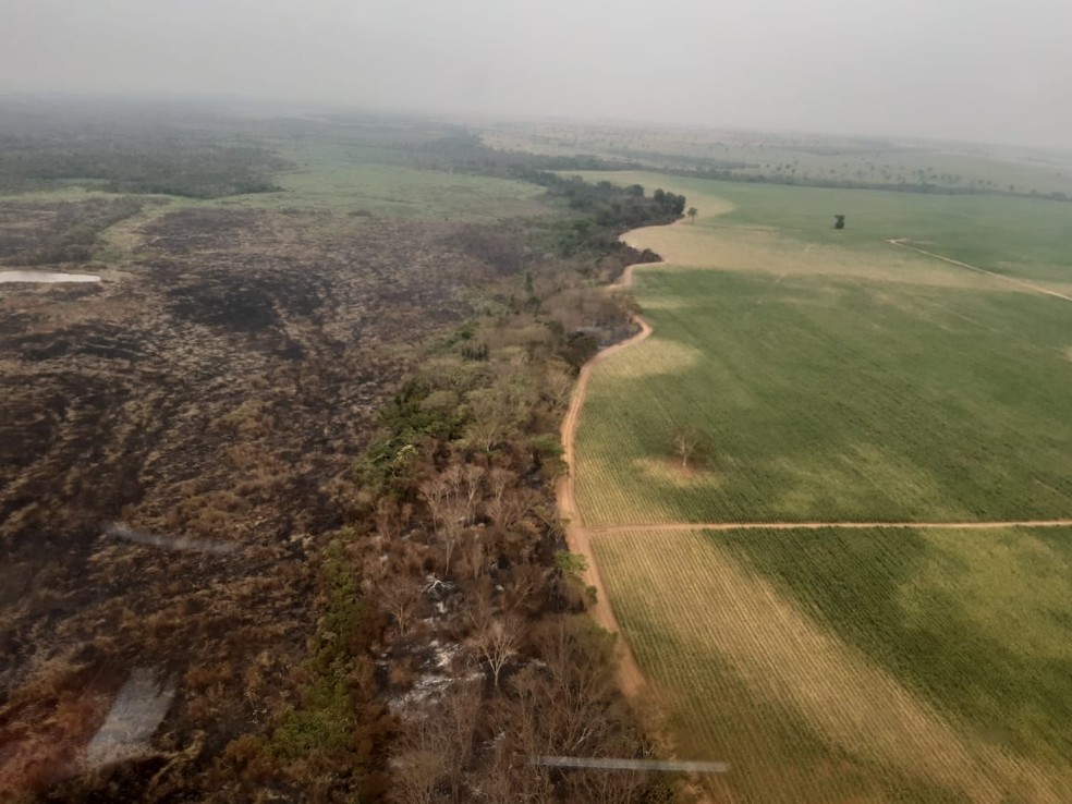 Incêndio que atingiu o Parque Estadual do Aguapeí, em Castilho (SP), em setembro de 2020 — Foto: Defesa Civil