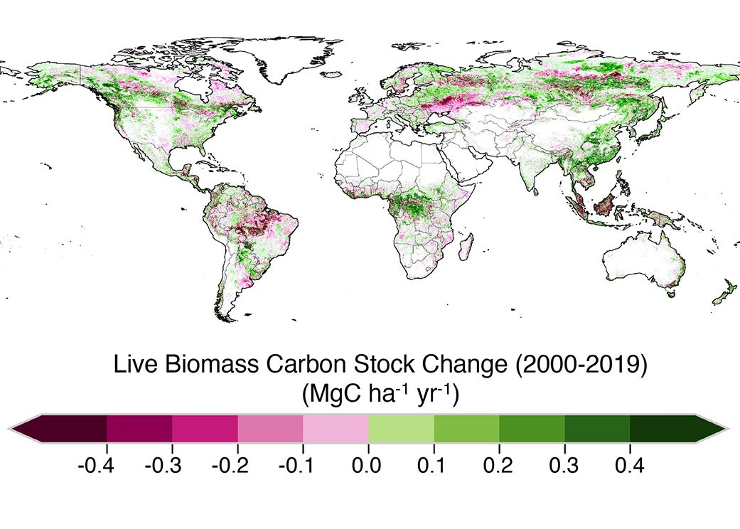 Capacidade de florestas tropicais absorverem carbono está diminuindo, diz Nasa (Foto: NASA/JPL-Caltech)
