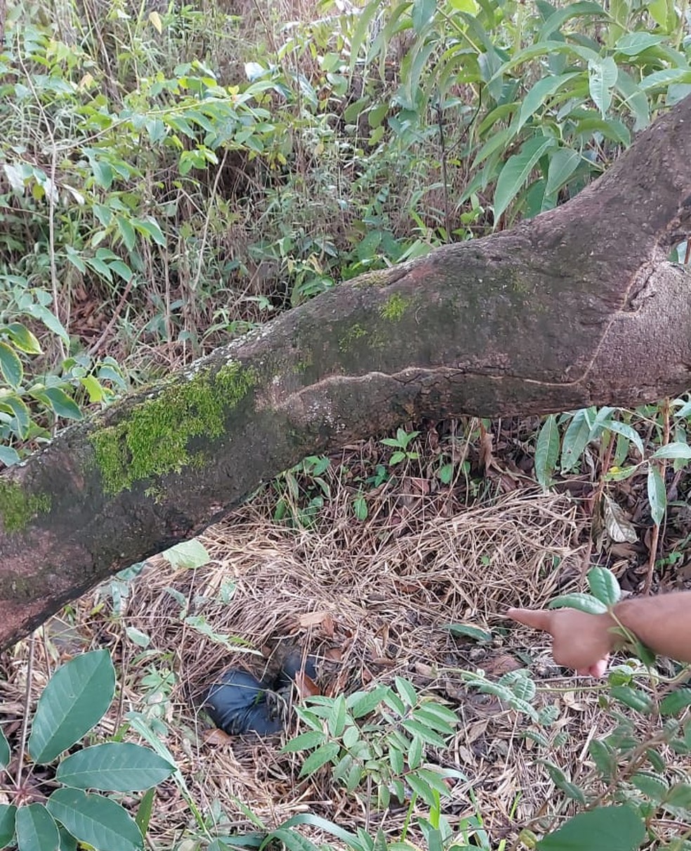 Corpos de mãe e filha desaparecidas estavam cobertos por folhas em área de mata, perto do córrego Sol Nascente, no DF — Foto: PCDF/Reprodução