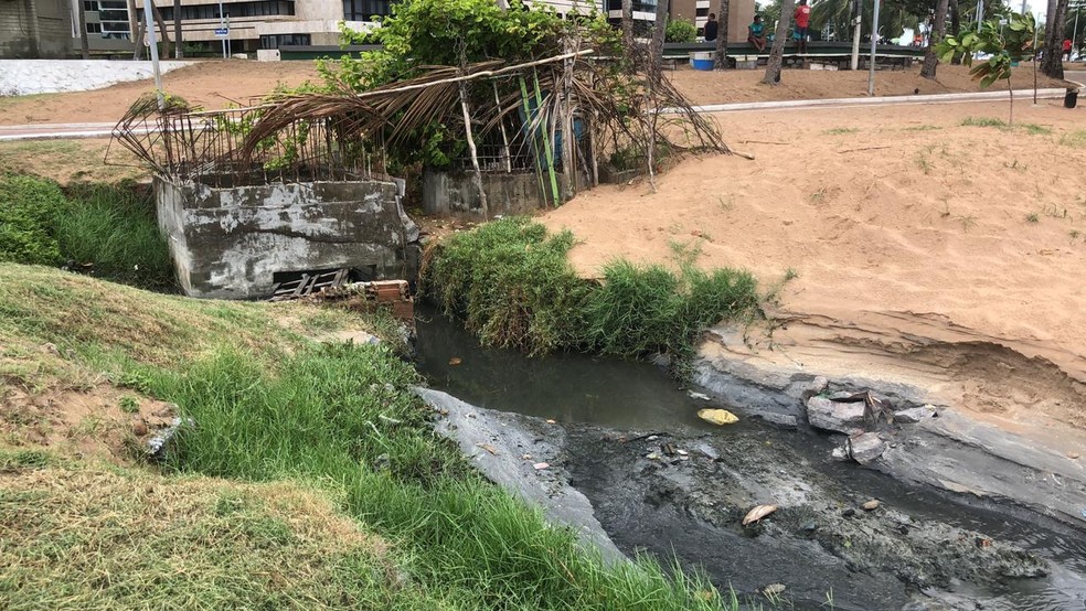 Lígua suja está próximo da mancha flagrada na orla — Foto: Wedna de Miranda/Arquivo Pessoal