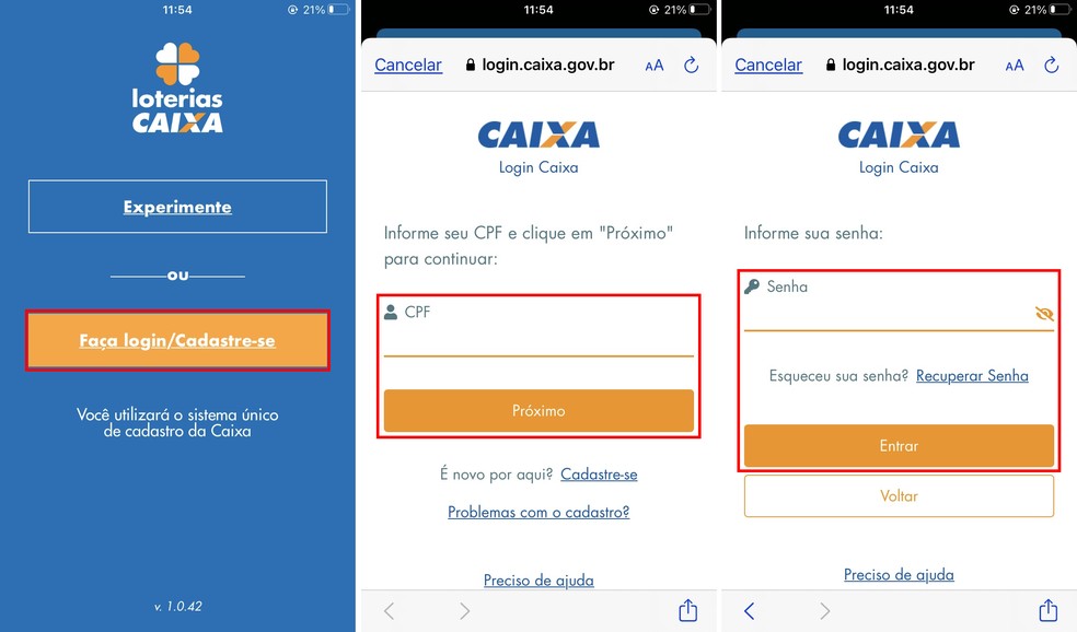 Fazendo login no app Loterias Caixa para jogar na Mega Sena da Virada — Foto: Reprodução/Rodrigo Fernandes