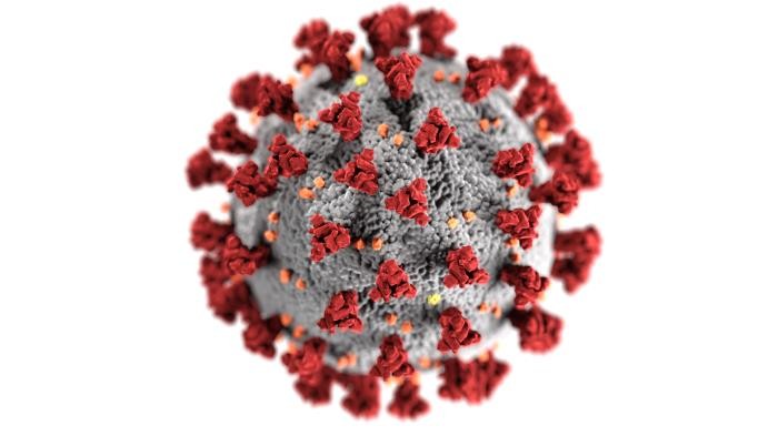Morfologia estrutural do coronavírus (Foto: CDC/ Alissa Eckert, MSMI; Dan Higgins, MAMS)