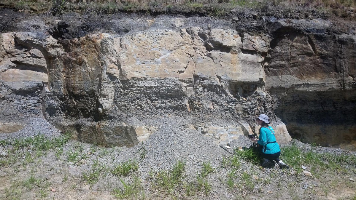 Floresta fóssil foi encontrada o município de Ortigueira, no Paraná  (Foto: Thammy Mottin/Arquivo pessoal)