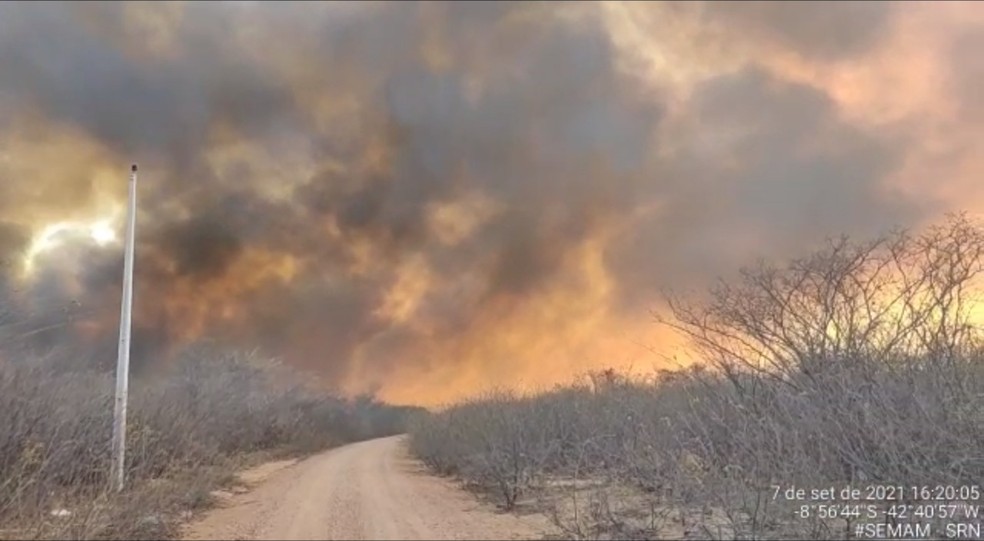 Incêndio atinge zona rural de São Raimundo Nonato e ameaça Parque Nacional da Serra da Capivara — Foto: Secretaria do Meio Ambiente de São Raimundo Nonato