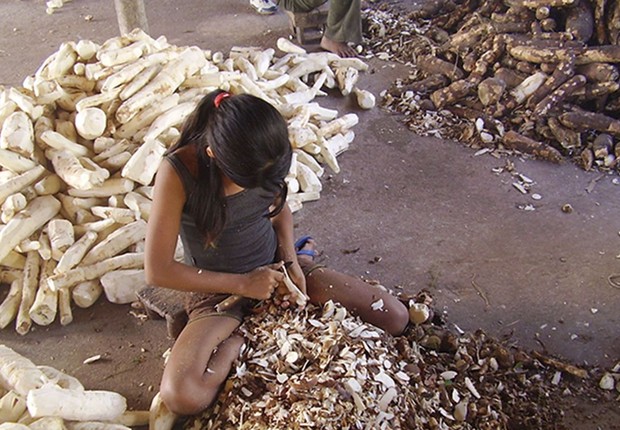 Trabalho infantil  (Foto: Ministério do Trabalho/Direitos reservados)