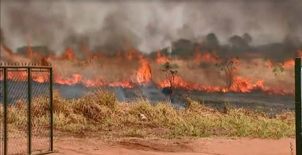 Queimada na área do antigo IPA em Rio Preto nesta terça-feira (6) — Foto: Reprodução/TV TEM