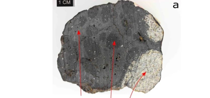 Meteorito de Chelyabinsk em detalhes  (Foto: Craig R. Walton et.al )