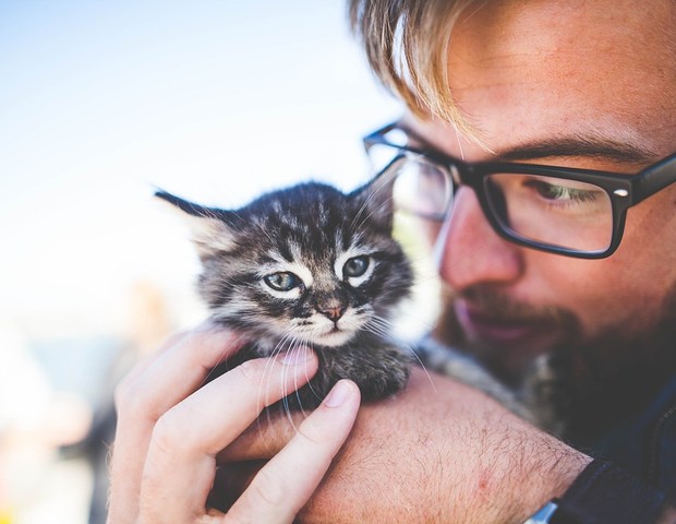 Pesquisadores notaram diminuição dos níveis de cortisol nos voluntários que acariciaram gatos e cachorros (Foto: Pixabay)