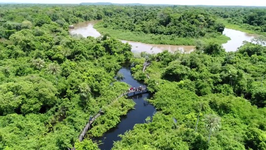 Partiu férias no Pantanal