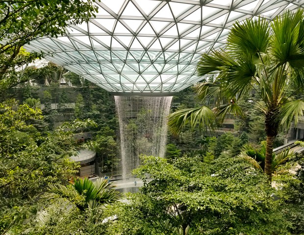 Maior cachoeira interna do mundo é construída no aeroporto de Singapura (Foto: Divulgação)