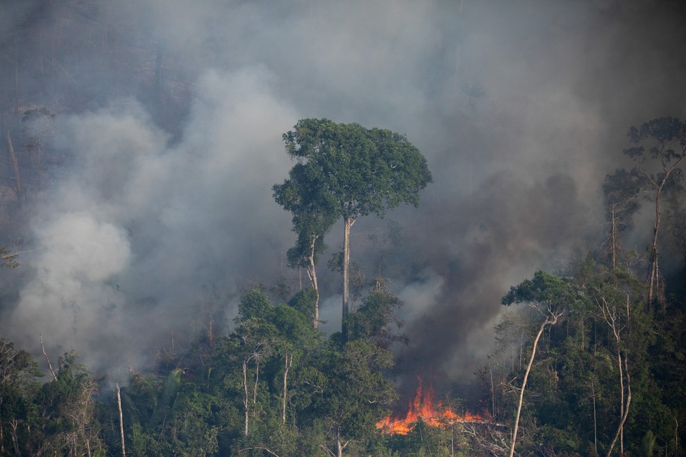 Sobrevoo na região da Amacro (Amazonas, Acre e Rondônia), em uma área com cerca de 8.000 hectares de desmatamento - a maior em 2022 - que está queimando há dias. — Foto: © Nilmar Lage / Greenpeace / Divulgação
