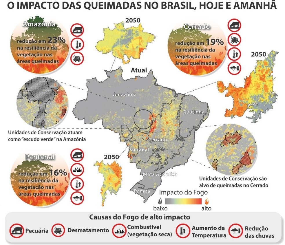 Impacto das queimadas no Brasil  Foto: Reproduo