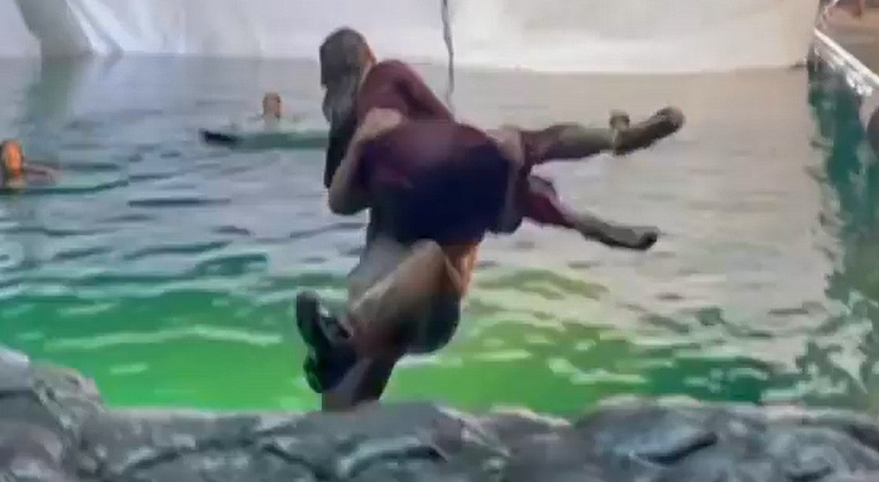 Channing Tatum agarra Sandra Bullock e se joga na piscina (Foto: Reprodução/Instagram)