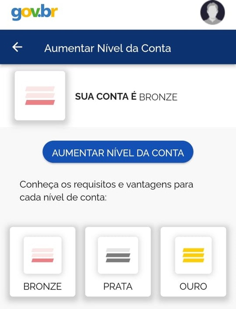 No app, ao fazer o login no gov.br, o cidadão já é informado do nível da conta — Foto: Reprodução