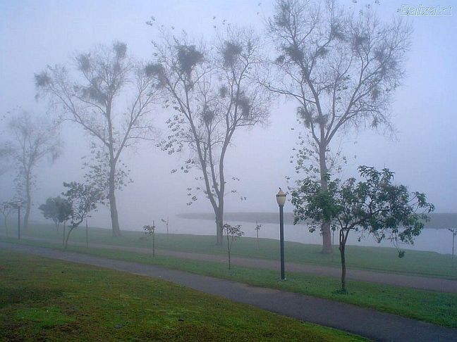 Resultado de imagem para fotos de curitiba no inverno