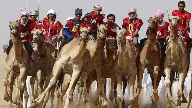 Atividades como criação de camelos e produção de tâmaras e ostras garantiam subsistência das pessoas antes do desenvolvimento exponencial dos Emirados Árabes Unidos nos últimos 50 anos (Foto: AFP via BBC)