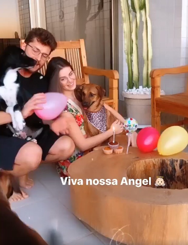 Camila Queiroz e Klebber Toledo fazem festa de aniversário para pet (Foto: Reprodução / Instagram)