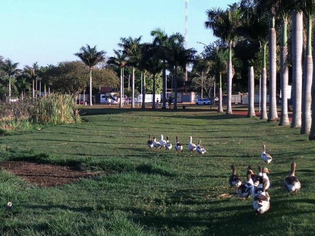 Lagoa é habitada por várias espécies de aves e mamíferos.  (Foto: Ricardo Ojeda/Arquivo Pessoal)