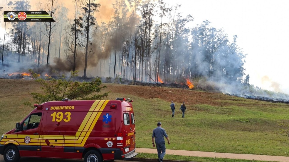 Incêndio em mata de Piracicaba após queda de avião com o empresário Celso Silveira Mello Filho, sua família, piloto e copiloto — Foto: Corpo de Bombeiros de SP