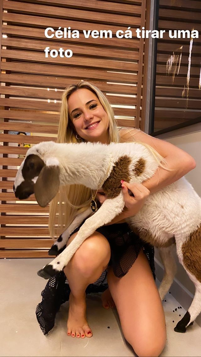 Gabi Martins e Célia, a cabra (Foto: Reprodução/Instagram)