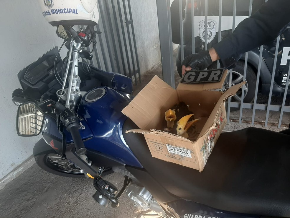 Três homens foram detidos após abordagem — Foto: Divulgação/Guarda Municipal de Contagem
