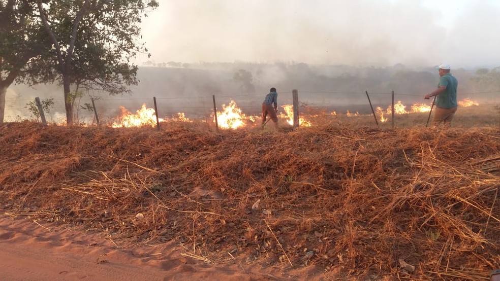 Fogo atinge propriedade em Rondonópolis — Foto: Lorena Segala/TVCA