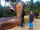Lista traz selfie tirada por elefante e mais fotos curiosas