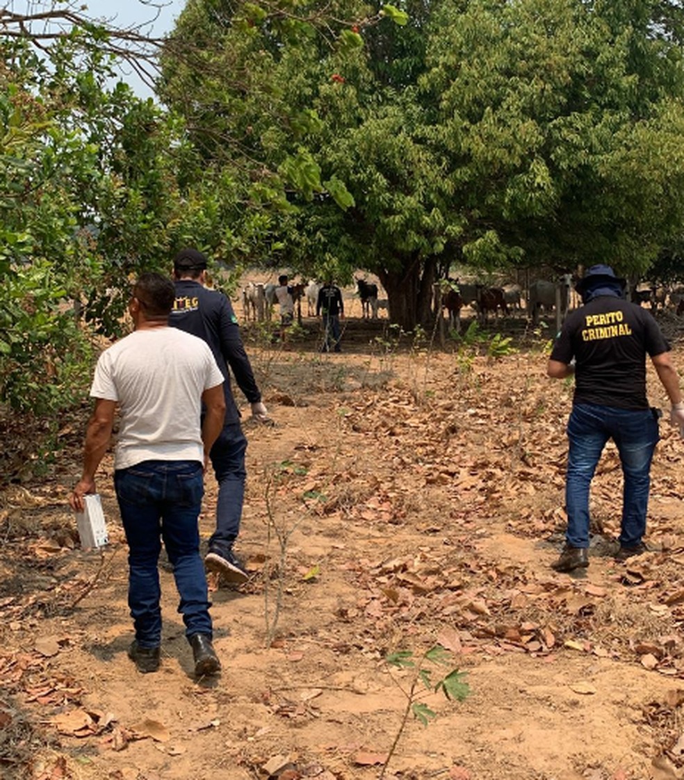 Bolsonarista é suspeito de matar petista em MT  — Foto: Polícia Civil/Divulgação