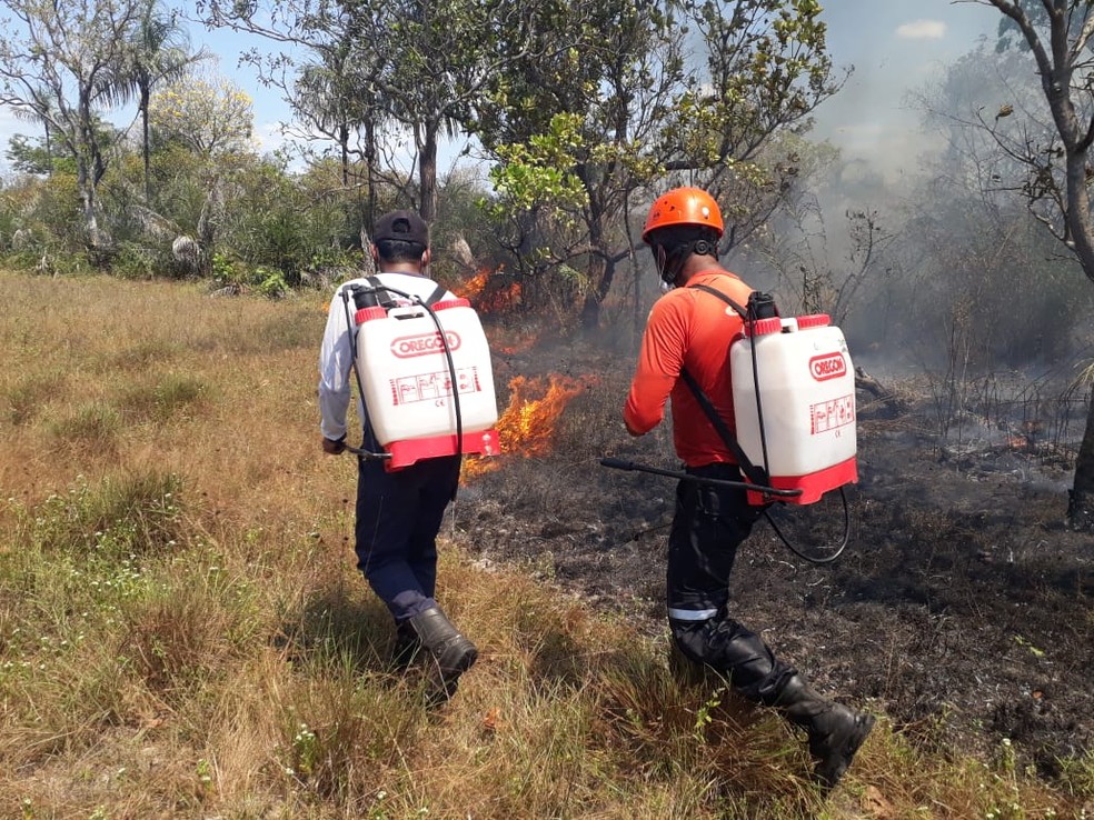 Grupo de Apoio Voluntário (GAV) atua como brigada de incêndio em Barras, Norte do Piauí — Foto: Divulgação/GAV