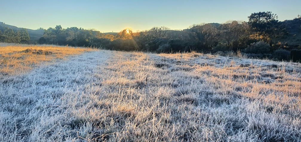Geada atingiu vegetação na Serra catarinense — Foto: Mycchel Legnaghi/ São Joaquim Online
