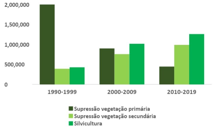 Tendências de perda de vegetação primária e secundária e de expansão da silvicultura na Mata Atlântica nas últimas três décadas. Fonte de dados: Mapbiomas. Elaborado pela TNC Brasil. (Foto: TNC Brasil)